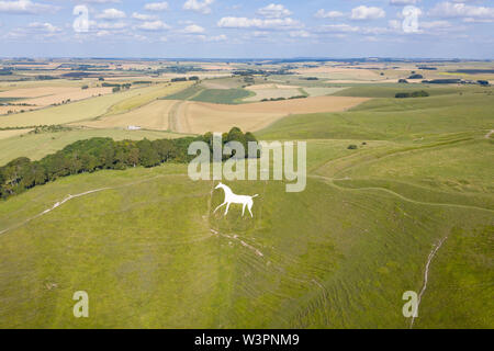 Cherhill, Wiltshire, Regno Unito. Il 16 luglio 2019. Vista aerea del Cherhill White Horse nel Wiltshire prese con un drone. Foto Stock