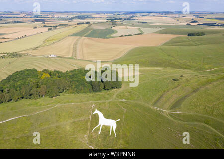 Cherhill, Wiltshire, Regno Unito. Il 16 luglio 2019. Vista aerea del Cherhill White Horse nel Wiltshire prese con un drone. Foto Stock