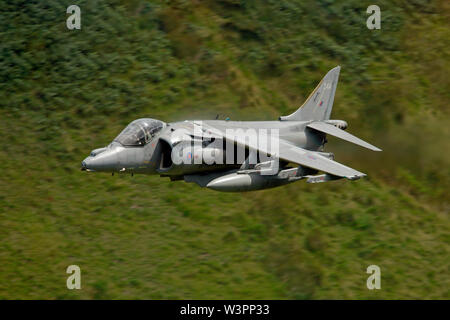 BAE Systems Harrier GR7ZD376 24a basso livello del Welsh zona di addestramento militare di LFA7 noto come il Mach Loop, Dolgellau Galles. Foto Stock