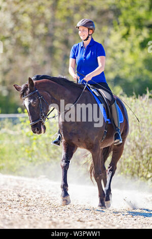 Hanoverian cavallo. Nero con la castrazione rider trotto su un luogo di equitazione. Germania Foto Stock