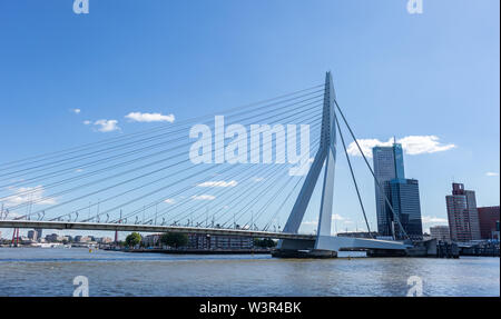 Rotterdam, Paesi Bassi. Il 2 luglio 2019. Paesaggio urbano e Ponte Erasmo, giornata di sole. Waterfront edifici al fiume Maas Foto Stock