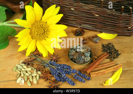 Composizione di intere essiccate e le spezie fresche di semi di girasole. Bella decorazione Foto Stock