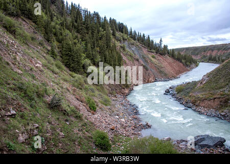 Fiume di montagna con rive pietrose tra colline coperte di foreste di conifere. Viaggiare in Kirghizistan. Foto Stock