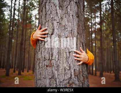 Close-up di donna abbracciando mano tronco di albero Foto Stock