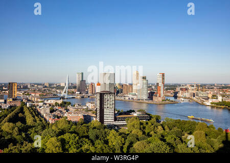 La città di Rotterdam vista aerea. Cityscape, fiume Maas e ponte Erasmus, estate giornata soleggiata, Paesi Bassi Foto Stock