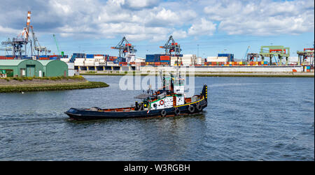 Rimorchiatore, contenitori e enormi gru al porto internazionale di Rotterdam, Paesi Bassi, giornata di sole. Logistica. Foto Stock