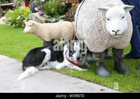 Knutsford, Regno Unito, 17 luglio, 2019. L annuale RHS flower show di membri e premere giorno avviene , Tatton Park, Knutsford, Cheshire, Regno Unito. Credito: Barbara Cook/Alamy Live News Foto Stock