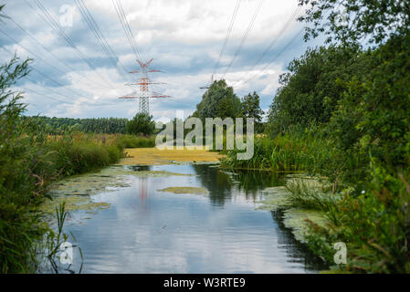 L'acqua trova sempre il suo modo attraverso la natura Foto Stock