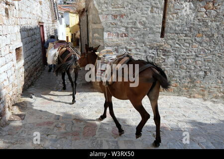 Un uomo tirando muli sul vialetto in ciottoli in città Hydra, Hydra Island, Grecia. Foto Stock