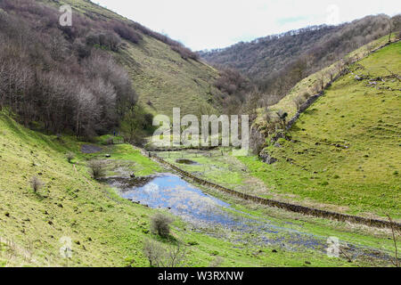 Il flusso allagati in esecuzione attraverso Cressbrook Dale, Derbyshire, England, Regno Unito Foto Stock