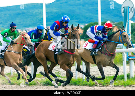 Corsa di cavalli del tradizionale premio ' grande estate' su Pyatigorsk ippodromo,Caucaso settentrionale,Russia. Foto Stock