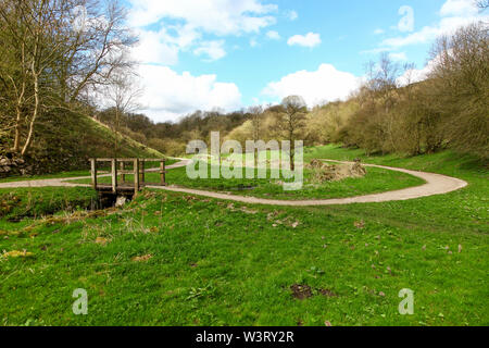 Tideswell Dale, Derbyshire, England, Regno Unito Foto Stock