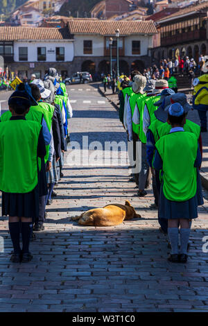 Cane peruviano di dormire sulla strada a ciottoli circondata da un gruppo di bambini delle scuole in parata in Plaza de Armas, la piazza principale, Cusco, Perù, Sud Foto Stock