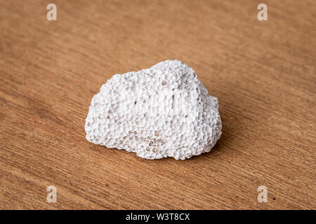 Corallo bianco Gemma Gemma gioiello trovati minerali in corrispondenza di zone marittime Foto Stock