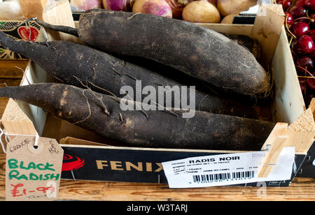 Neri freschi Ravanelli per la vendita su un Yorkshire fruttivendolo shop costoso £1,99 ogni nel 2019 Foto Stock