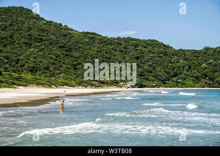 Naufragados Beach. Florianopolis, Santa Catarina, Brasile. Foto Stock