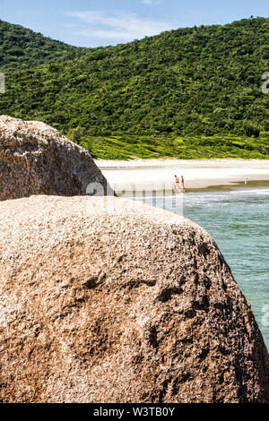 Naufragados Beach. Florianopolis, Santa Catarina, Brasile. Foto Stock