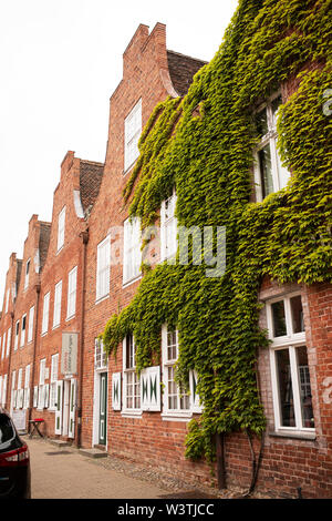 Edifici in mattoni ricoperti di edera nello storico quartiere olandese di Potsdam, in Germania. Foto Stock