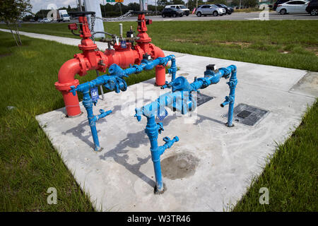 Il rosso e il blu dei tubi di acqua standpipes polk county utilities sopra di terra di accesso per acqua principali e di collegamenti con i clienti florida USA Stati Uniti d'Americ Foto Stock
