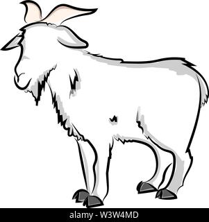 Disegno di capra, illustrazione vettore su sfondo bianco. Illustrazione Vettoriale