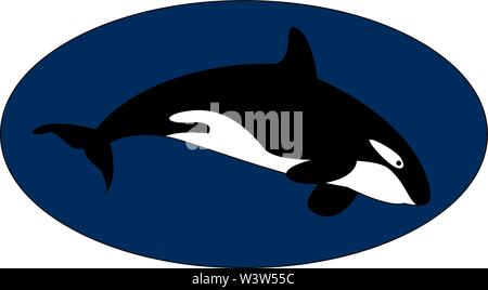 Killer Whale subacquea, illustrazione, vettore su sfondo bianco. Illustrazione Vettoriale