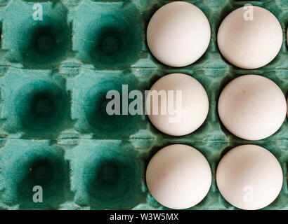 Le uova bianche disposte tra loro per il lato destro di un uovo verde scatola in cartone con spazi vuoti sul lato sinistro. Foto Stock