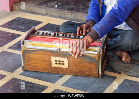 Deshnok, India - 11 Febbraio 2019: Indiano uomo giocando l'Harmonium di Karni Mata Temple o ratti tempio a Deshnok. Rajasthan Foto Stock