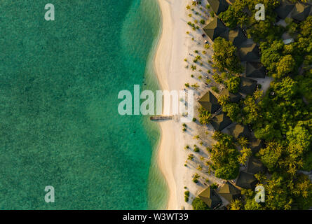 Incredibile di uccelli vista agli occhi delle Maldive Foto Stock