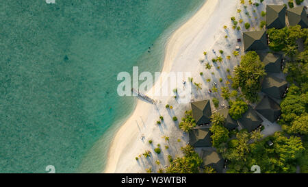 Incredibile di uccelli vista agli occhi delle Maldive Foto Stock