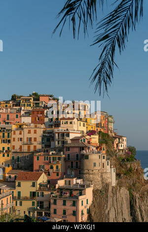 Le case che sono integrate verticalmente lungo la costa delle Cinque terre in Italia di manarola dietro la silhouette di foglie di palma Foto Stock