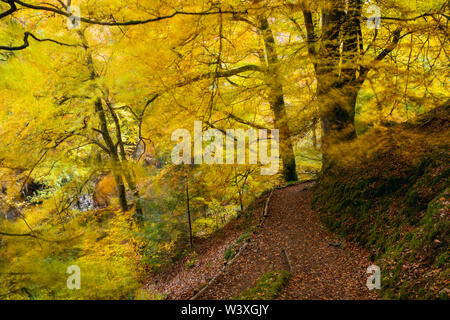 Pitlochry; Percorso vicino a Garry ponte; Scozia - UK Foto Stock