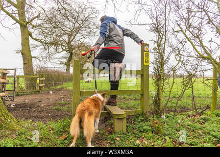 Dog walker arrampicarsi su stile sul farm REGNO UNITO Foto Stock