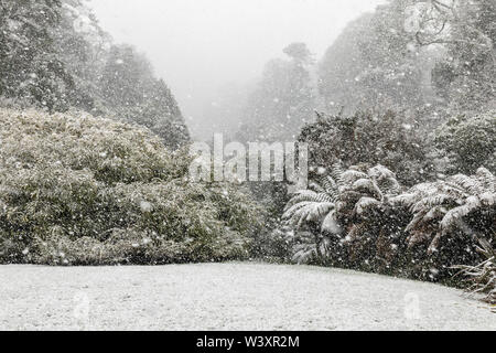 Giardino Trebah; neve; Cornovaglia; Regno Unito Foto Stock