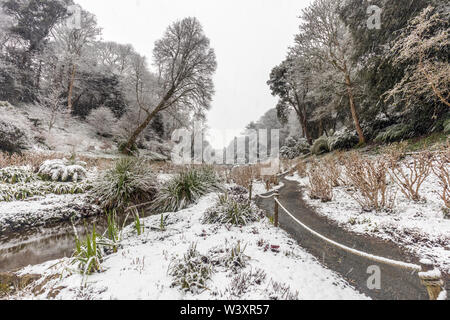 Giardino Trebah; neve; Cornovaglia; Regno Unito Foto Stock