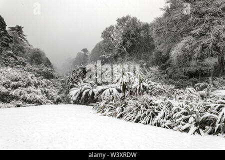 Giardino Trebah; neve; Cornovaglia; Regno Unito Foto Stock