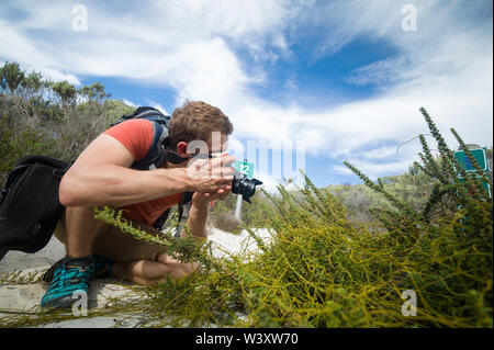 Agulhas National Park protegge il Fynbos habitat e offre percorsi di trekking e pettinatura sulla spiaggia vicino a Cape Agulhas, Western Cape, Sud Africa. Foto Stock