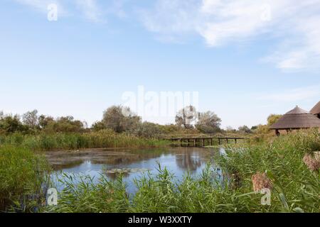 Laguna a braccio del Danubio Sfantu-Gheorghe, il Delta del Danubio Riserva della Biosfera, Dobruja, Romania Foto Stock