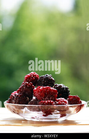 Piattino con il mucchio di congelati frutti blackberry su legno Foto Stock