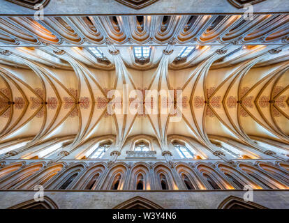 Alti soffitti a volta della navata della Cattedrale di Wells nel Somerset REGNO UNITO con dettagli architettonici evidenziato nel dipinto di disegni floreali in rosso e blu Foto Stock