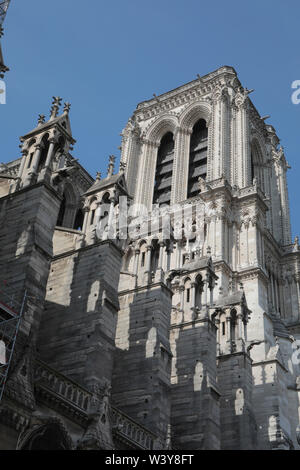 La CATTEDRALE DI NOTRE-DAME ,TRE MESI DOPO IL FUOCO Foto Stock