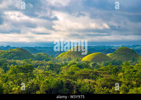 Chocolate Hills nel tardo pomeriggio, Carmen, Bohol, Central Visayas, Filippine Foto Stock