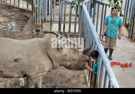 (190718) -- PECHINO, luglio 18, 2019 (Xinhua) -- Gli allevatori alimentano un rinoceronte con anguria a allo Zoo di Pechino a Pechino Capitale della Cina, luglio 18, 2019. Nella soffocante estate calore, allo Zoo di Pechino ha preso numerose misure per tenere gli animali al fresco. Tenendo conto delle diverse abitudini di animali, diverse misure come l'aria condizionata, i cubetti di ghiaccio, auto-sistema di spruzzatura, piscine e alta umidità i frutti erano utilizzati per garantire che gli animali hanno una confortevole estate. (Xinhua/Li Xin) Foto Stock