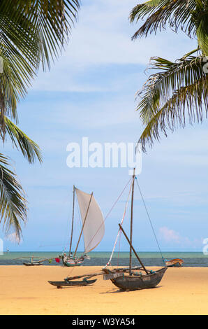 Oruwa (canoa outrigger) sulla spiaggia di Negombo, provincia occidentale, Sri Lanka Foto Stock