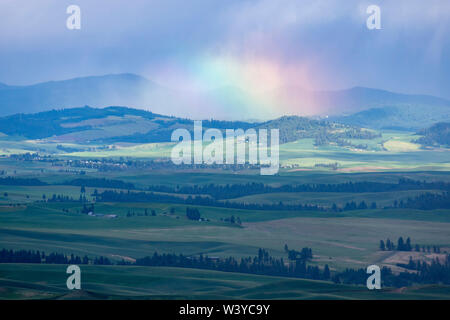 Rainclouds e rainbow oltre il paesaggio vicino Steptoe Butte, Palouse, Stati Uniti di Washington Foto Stock