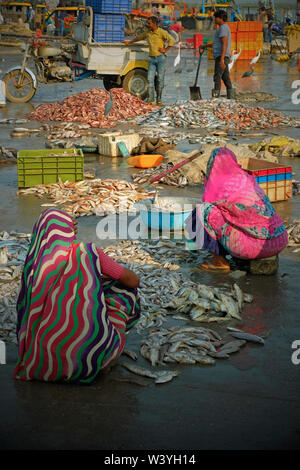 Diu, Gujarat, India - 3 Novembre 2016: le donne a smistare pesce sulla banchina per la vendita al mercato nelle vicinanze del porto di Vanakbara Foto Stock