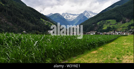 Bellissima vista del Campo Tures con Castel Taufers. Valle Aurina vicino a Brunico, Alto Adige in Italia. Foto Stock