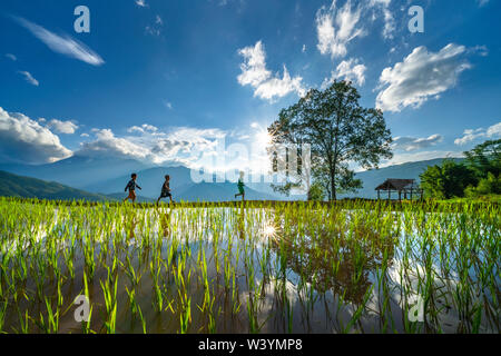 Bambini su terrazze a Y Ty, vicino a Sapa, Lao Cai, Vietnam stessa eredità di mondo Ifugao terrazze di riso in Batad, northern Luzon, Filippine Foto Stock