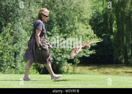 Il mio Cotswold vita intervista con Jemina Parry-Jones internazionali del Centro Rapaci, con un gufo Foto Stock