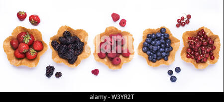 Set di foresta freschi frutti disposti in ciotole commestibili su sfondo bianco Foto Stock