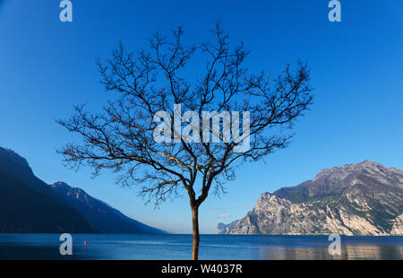 Spiaggia del Nord su sunrise al piccolo porto Porticcioloat Lago di Garda, il Lago di Garda in Torbole - Nago, Riva, Trentino , Italia al 15 aprile 2019. © Peter Foto Stock